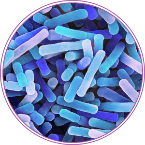 Premium Pharma - Lactobacillus jensenii
